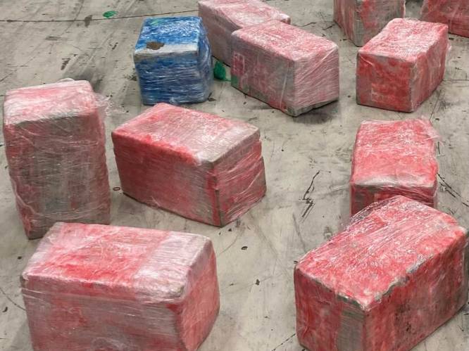 Weer raak: 656 kilo cocaïne onderschept in haven Vlissingen