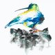 De Wondere Vogelwereld van O.C. Hooymeijer: de Spitssnavelzwenk