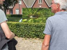 Kunstenaar weet wel raad met lelijke stroomkast in Wolphaartsdijk: ‘Ik beschilder 'm wel!’