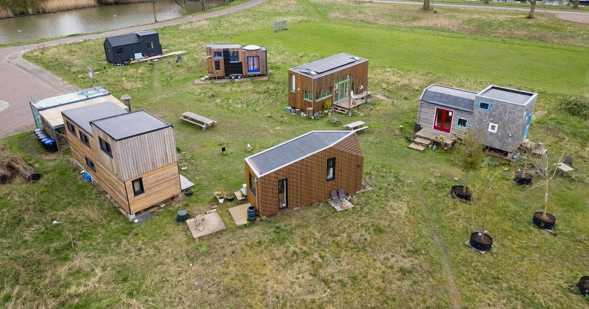 Denekamp krijgt 15 tiny houses in nieuwbouwwijk aan de rand van het dorp