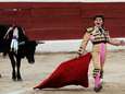 Elfjarige Franse toreador Michelito doodt zes stieren