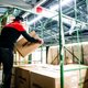 Ook inval bij pakjesdienst DPD, minister De Sutter wil pakjessector hervormen