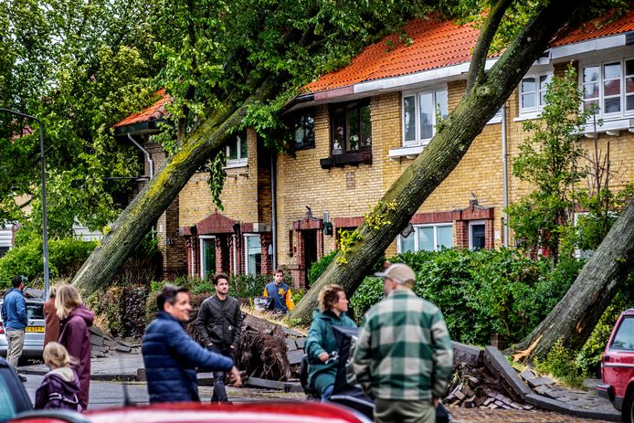 A causa di Super Storm Poly, ci sono stati molti danni ad Haarlem, dagli alberi caduti alle auto e alle case.  La gente osserva i danni in Molijnstraat ad Haarlem, dove alberi pesanti sono caduti contro case e automobili.
