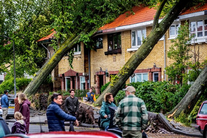 Akibat badai super Polly, terjadi banyak kerusakan di Harlem mulai dari pohon tumbang hingga mobil dan rumah.  Orang-orang melihat kerusakan di Moligenstraat di Haarlem saat pohon-pohon besar tumbang menimpa rumah dan mobil.