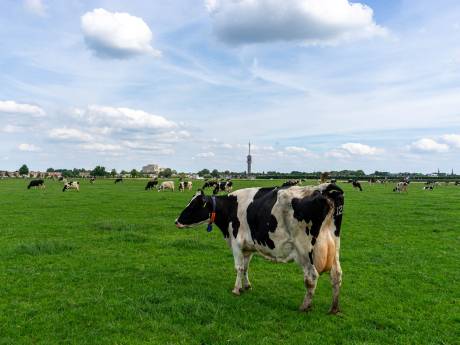 TV-toren zoekboek: Soms is het maar een stipje op de horizon