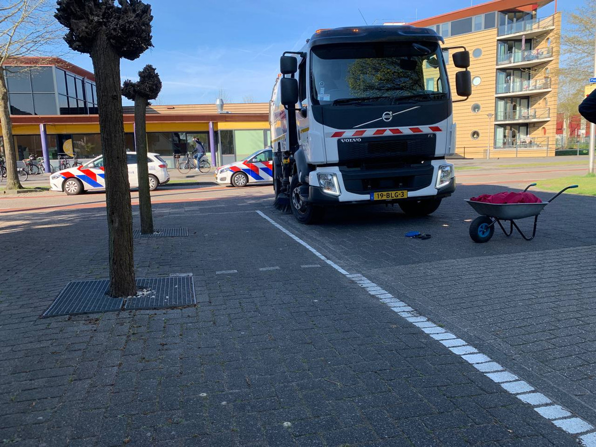 Hond overlijdt bij aanrijding Hardenberg.