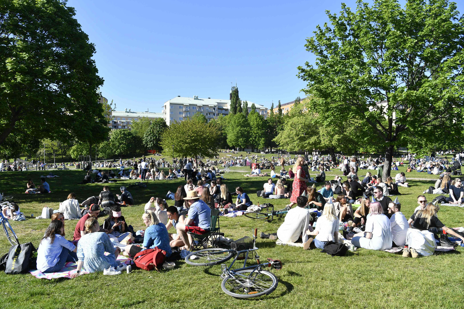 In een park in Stockholm komen mensen bij elkaar. Beeld AFP