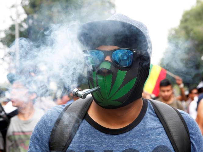 Wietverbod verdwijnt in steeds meer landen: ook Mexico legaliseert cannabis