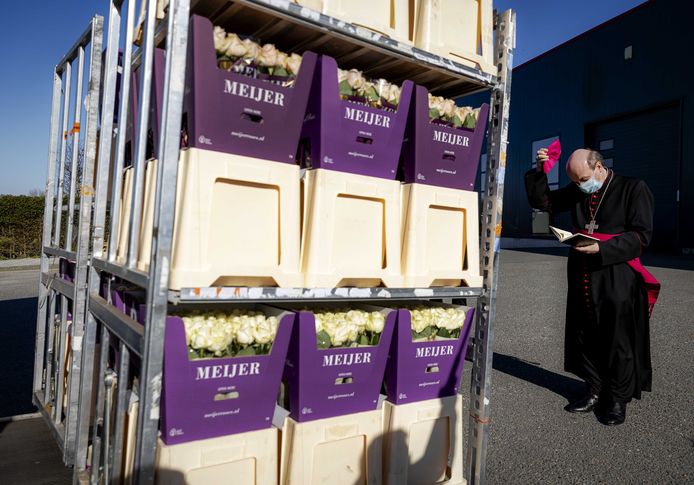 Archiefbeeld. De Rotterdamse bisschop Hans van den Hende zegent een lading bloemen, voordat deze op transport gaat naar Vaticaanstad. Wanneer paus Franciscus op paaszondag de traditionele zegen Urbi et Orbi uitspreekt, zal hij omringd zijn door deze bloemen.