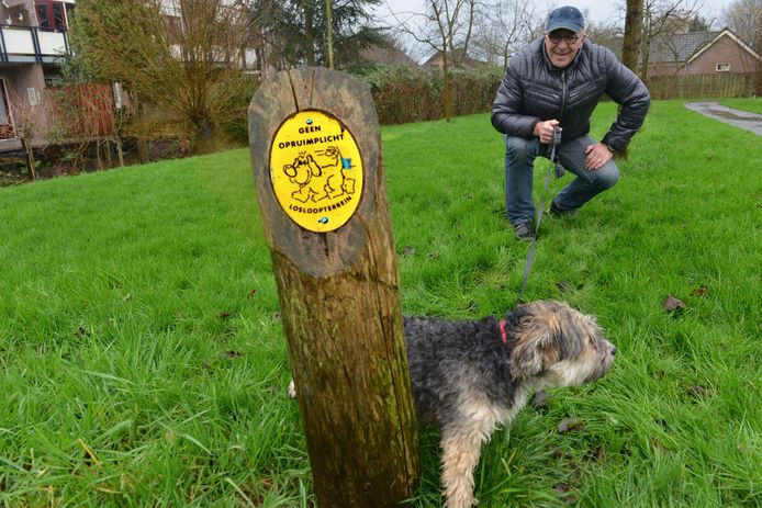 Wanneer Moet Veenendaler Zelf Hondenpoep Opruimen De Vallei Gelderlander Nl