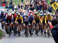Het peloton op de Kanarieberg tijdens de Ronde vorig jaar.