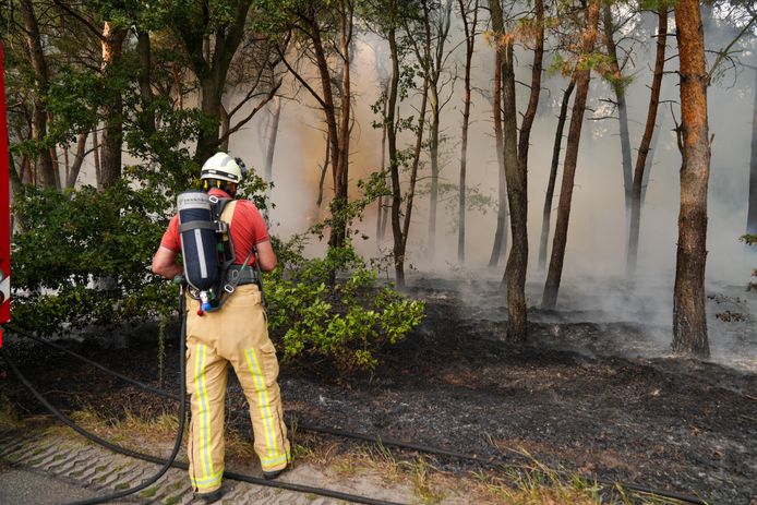 In bosranden aan Aarle-Rixtelseweg in Bakel zijn op diverse plaatsen branden ontstaan.