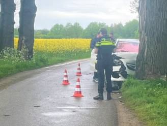 Eerste tegenligger kan hij ontwijken maar bij de tweede gaat het mis: auto knalt op boom