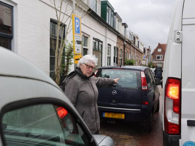 Tientallen Delftenaren wachten op plek in Prinsenhofgarage door autovrije binnenstad