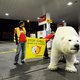 Shell keert toch weer terug in Noordpoolgebied