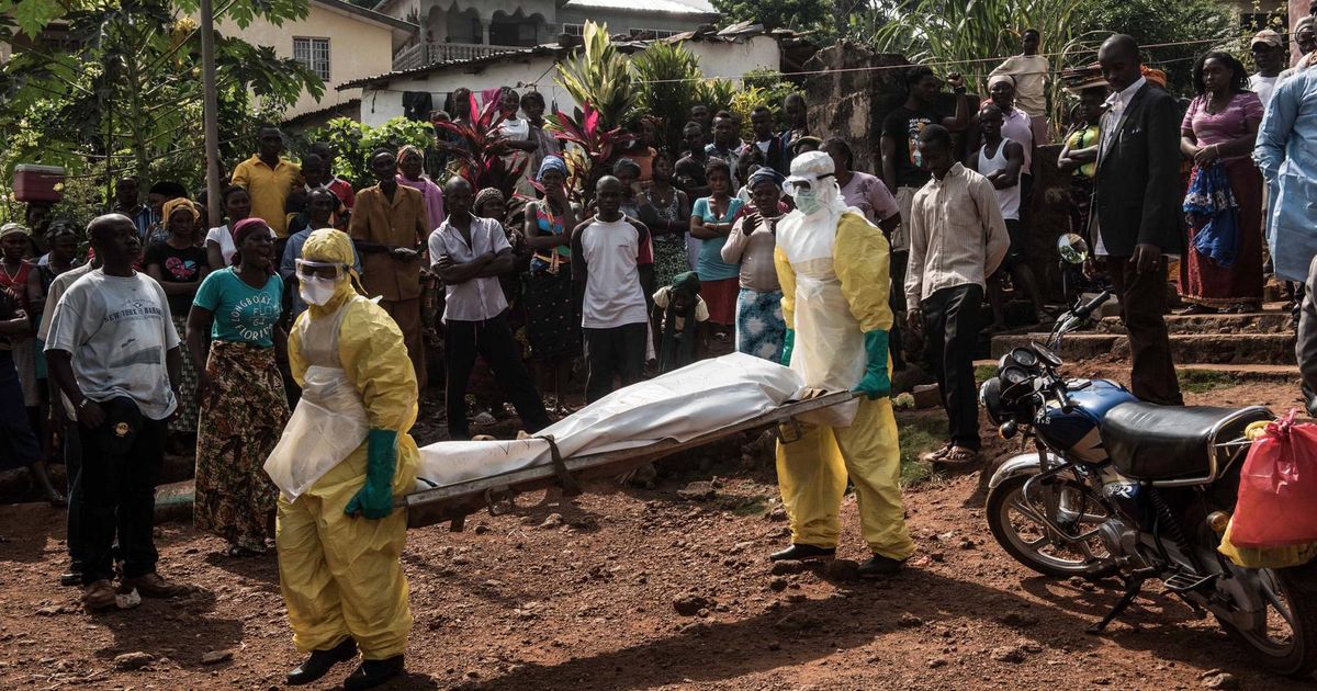 Belgische wetenschappers zoeken bron ebola-uitbraak in Congo - De Morgen