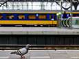 Tot 15 september geen treinen tussen Lelystad en Dronten door stroomstoring