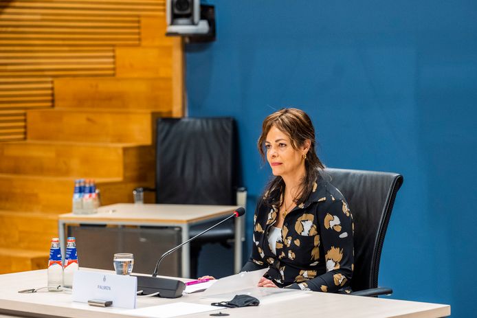 Sandra Palmen-Schlangen, vaktechnisch coördinator Toeslagen in 2016 en 2017, werd twee jaar geleden als enige gewone ambtenaar verhoord door de parlementaire ondervragingscommissie Kinderopvangtoeslag. Aanleiding was haar explosieve memo.