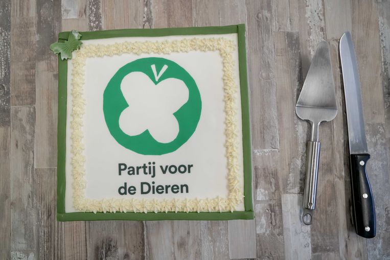 Ook in de fractiekamer van Partij voor de Dieren staat taart klaar, een dag na de Provinciale Statenverkiezingen.  Beeld ANP