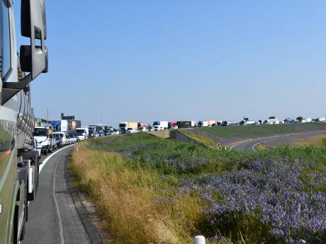 Twee vrachtwagens met pech veroorzaken verkeerschaos bij Westerscheldetunnel