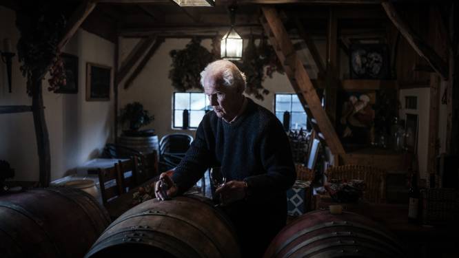 Geen opvolgers voor de wijnbouw: ‘Een wijngaard is niet alleen maar romantiek’