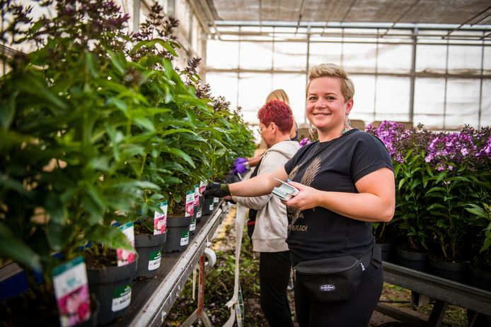 Als ze geen administratie doet, helpt Natalia bij kweker Van Lint aan de lopende band.