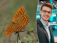 Zo maak je van jouw tuin een vlinderparadijs: “Gebruik zeker geen pesticiden en zo weinig mogelijk meststoffen”