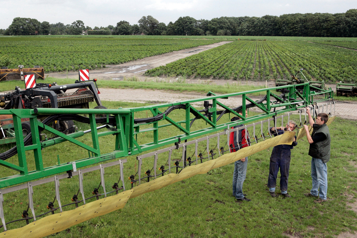 Twee uitklapbare sproei-armen achter een traktor zijn voorzien van sleepdoek. Het doek zorgt ervoor dat de kegel tijdens het sproeien van gif kleiner is en dat de gifdruppels door neerwaartse druk beter aan de gewassen hechten. Beeld Jorgen Caris, Trouw