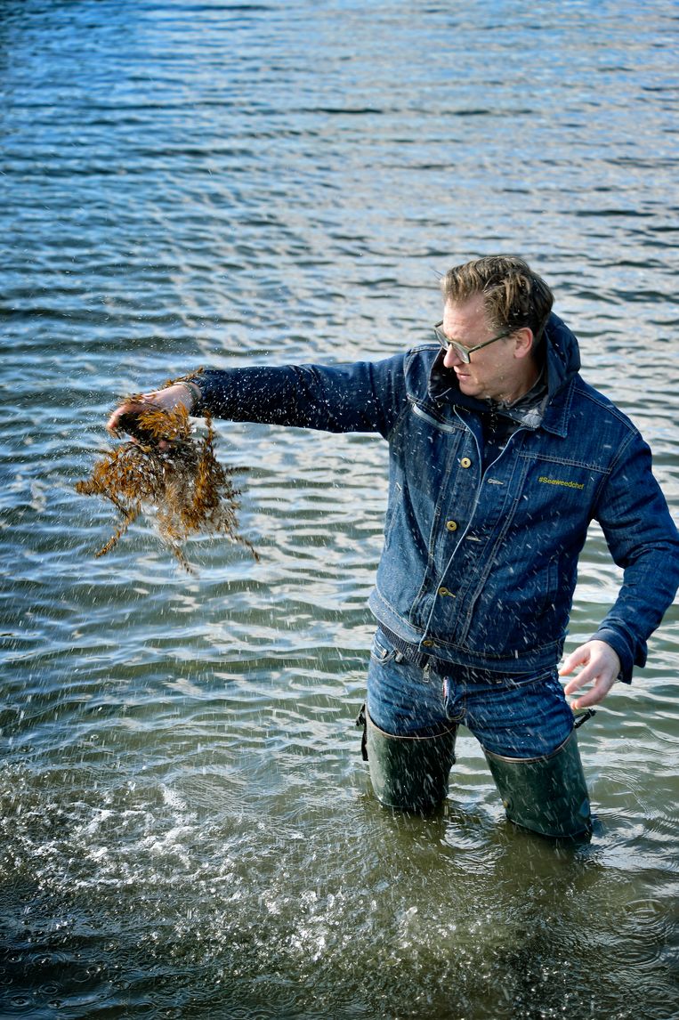 Le Homard et la Moule Beeld Roos Mestdagh
