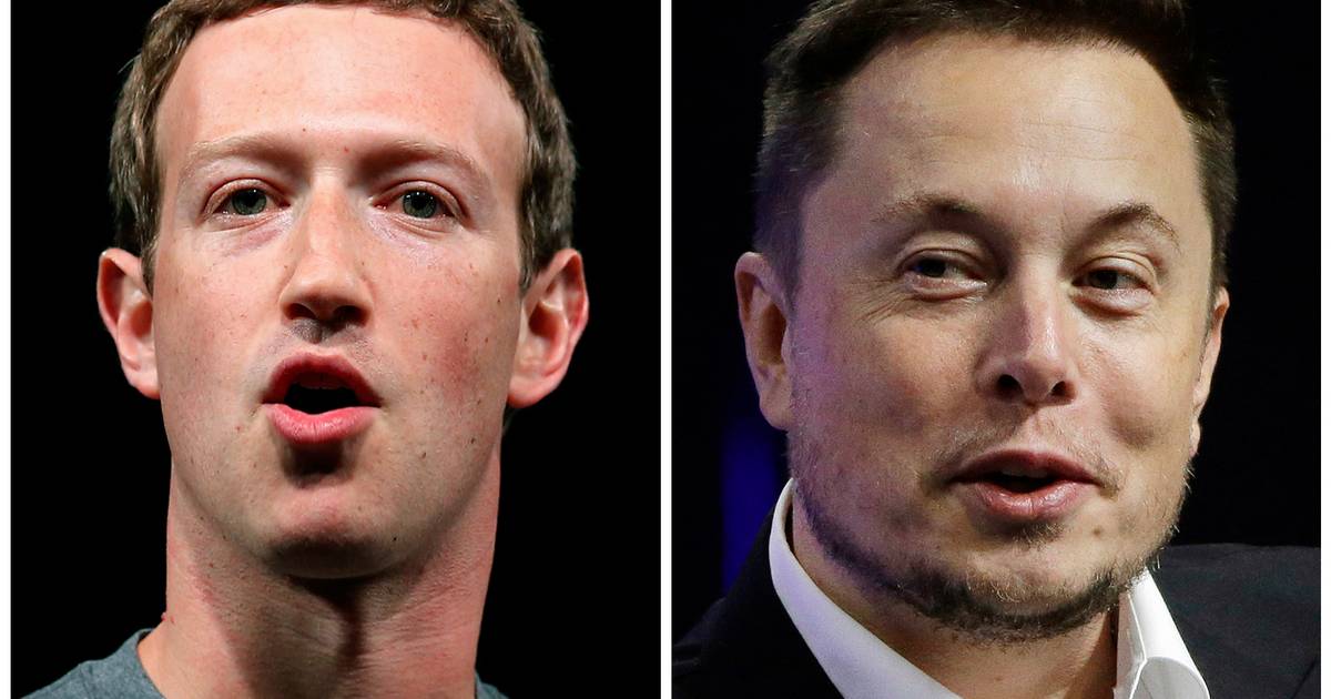 È vero?  Il ministro italiano conferma la lite tra Musk e Zuckerberg |  Notizia