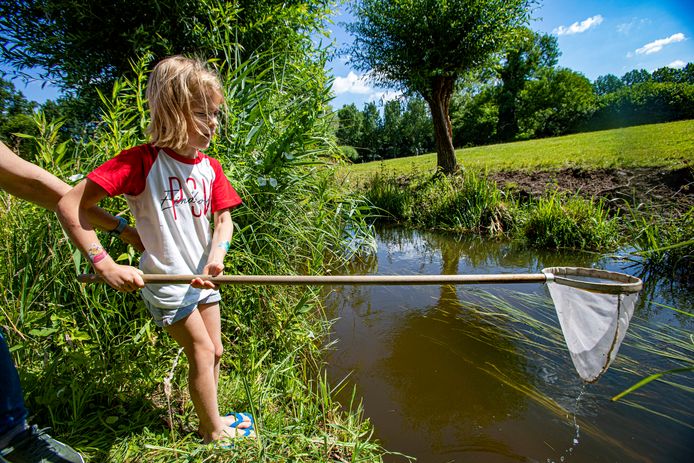Een schepnet vol verwondering: op zoek naar waterbeestjes in ’t ...