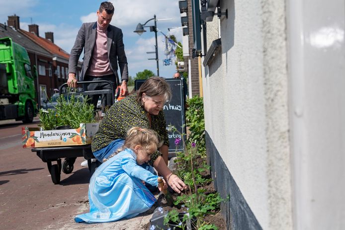 Bewoonster Rita Somers-Hagenaars benaderde de gemeente met het plan om de straat op te fleuren met geveltuintjes.