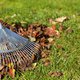 Daarom is het belangrijk om bladeren in de tuin te laten liggen