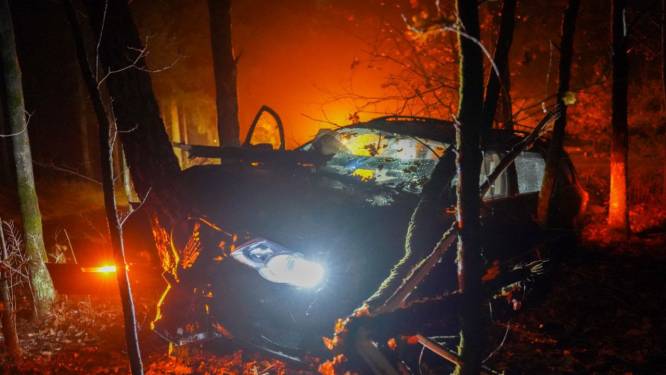 Man eindigt onder invloed met zwaar beschadigde auto tussen bomen in Ermelo