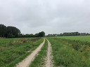 Borsele heeft in de Platepolder 14 hectare grond gekocht. Op de achtergrond is de bebouwing van de Stenevate zichtbaar.