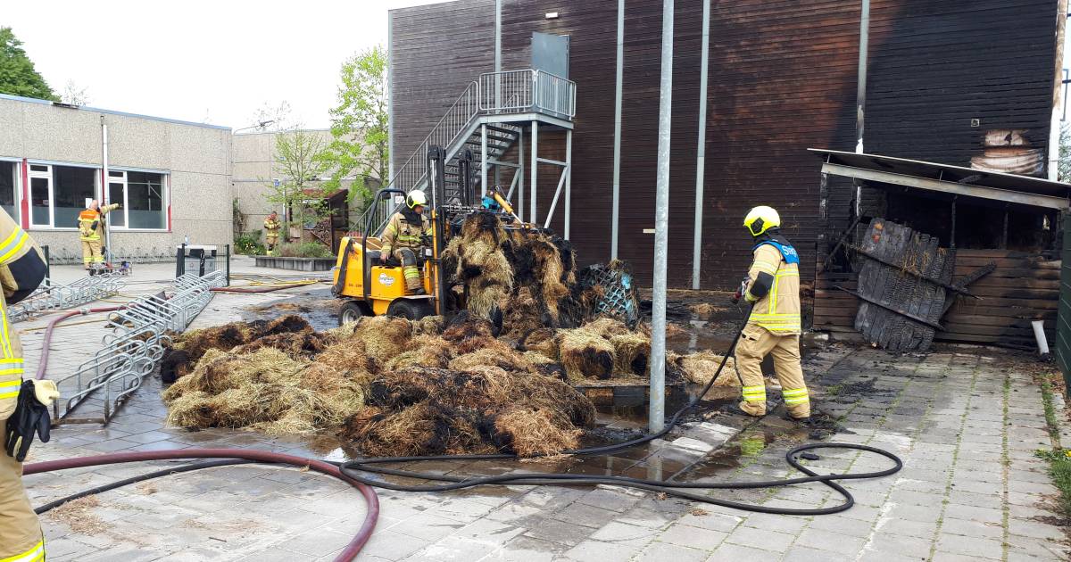 Brand in schuur met hooi bij Wellantcollege Ottoland