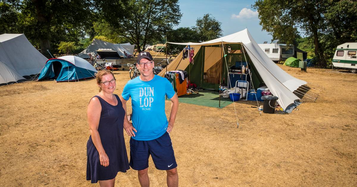 Kinderrijmpjes mooi Reizen De Waard maakt zijn tenten té goed!' | Ommen | destentor.nl