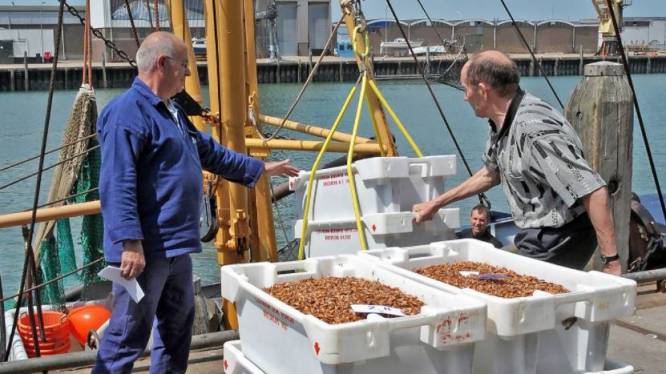 Natuurmonumenten wil duidelijkheid over vergunningen garnalenvisserij