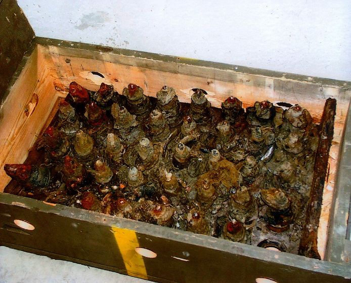 Kist met uit de Oosterschelde in 2019 opgedoken roestende munitie.