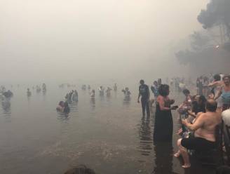 Vlaamse Angeliek zat middenin hevige bosbranden in Griekenland: "Ik dacht echt dat ik zou sterven"