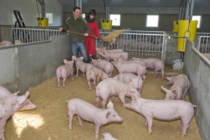 Vossenjacht tijdens open dag in Zwolse rechtbank 