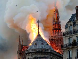 “Notre-Dame is ruïne zoals Pompeii. We moeten dat accepteren en niet heropbouwen”