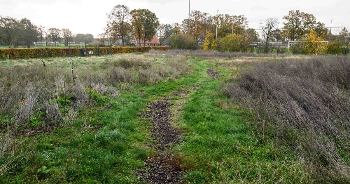 Politiek Haaksbergen effent pad voor vijf woningen in Buurse, ondanks twijfel over krappe toegangswe