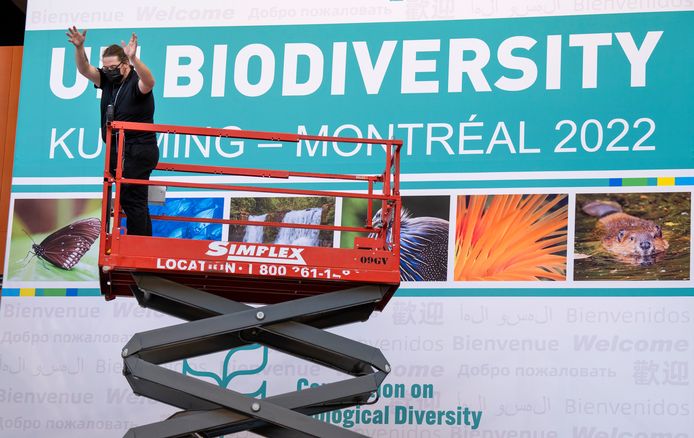 Des travailleurs installent le Centre des congrès de Montréal en vue de la COP15, à Montréal.