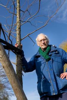 En toen waren 150 net geplante bomen dood, verdord of kaal: ‘Er gaat iets mis, dat lijkt me duidelijk’