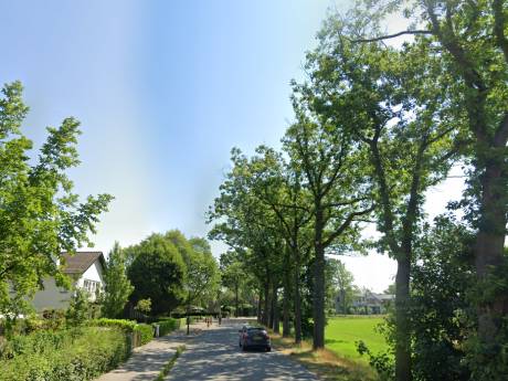 Pennendijk in Ulvenhout loopt tegen einde levensduur aan, tijd voor een ‘dorpse’ make-over