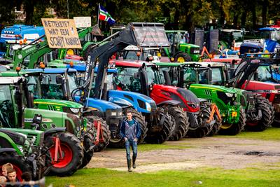 Kabinet trekt half miljard euro uit voor stikstofcrisis