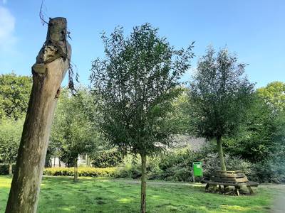 Kleine groep jongeren zaait angst in Zegge: ‘Liever een blokje om’