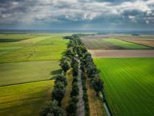 ‘Landjepik’ in de Hoeksche Waard? Project van waterschap heeft mogelijk gevolgen voor inwoners