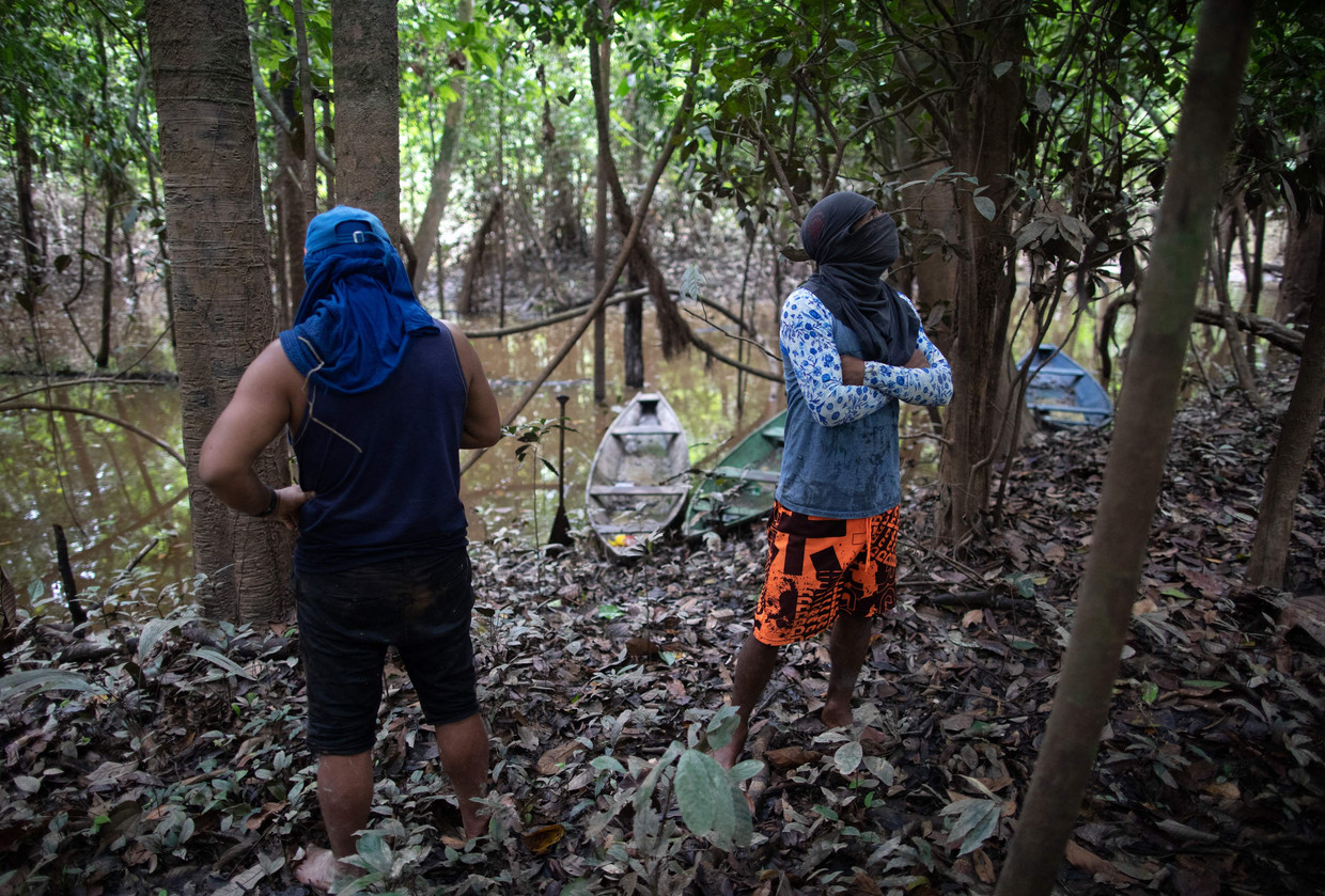 Inheemse bewoners van de Javari-regio in het Amazonewoud zoeken naar sporen van Dom Phillips en Bruno Pereira, die op dat moment nog worden vermist.  Beeld João Laet / AFP